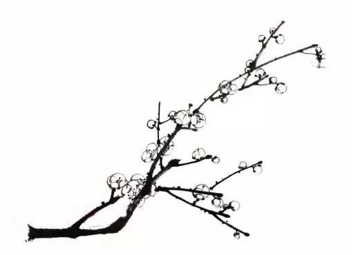 将残梅花画法花朵正逐渐谢落,很多花已不成五瓣,甚至只剩花托,花须.