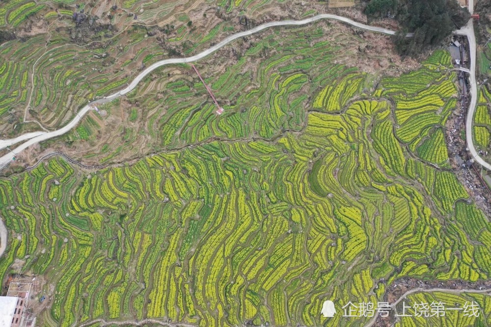 空中看景:江西上饶县望仙乡葛路梯田