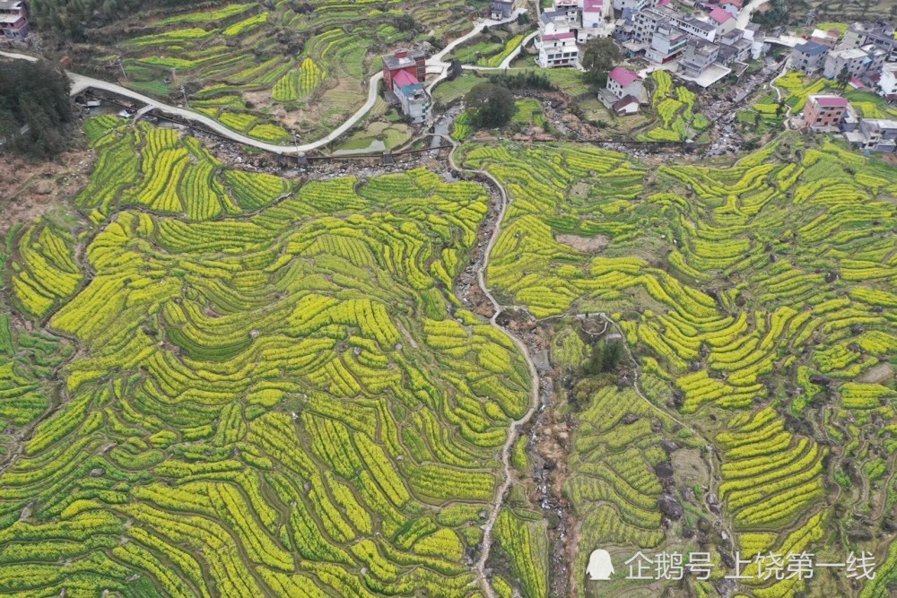 空中看景:江西上饶县望仙乡葛路梯田