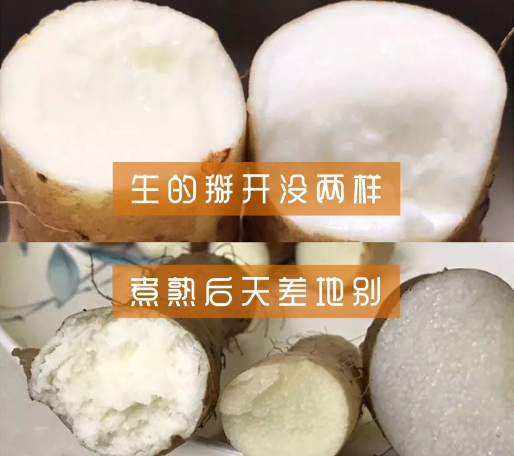 你还敢吃山药吗，长期吃山药的人变成了这样……