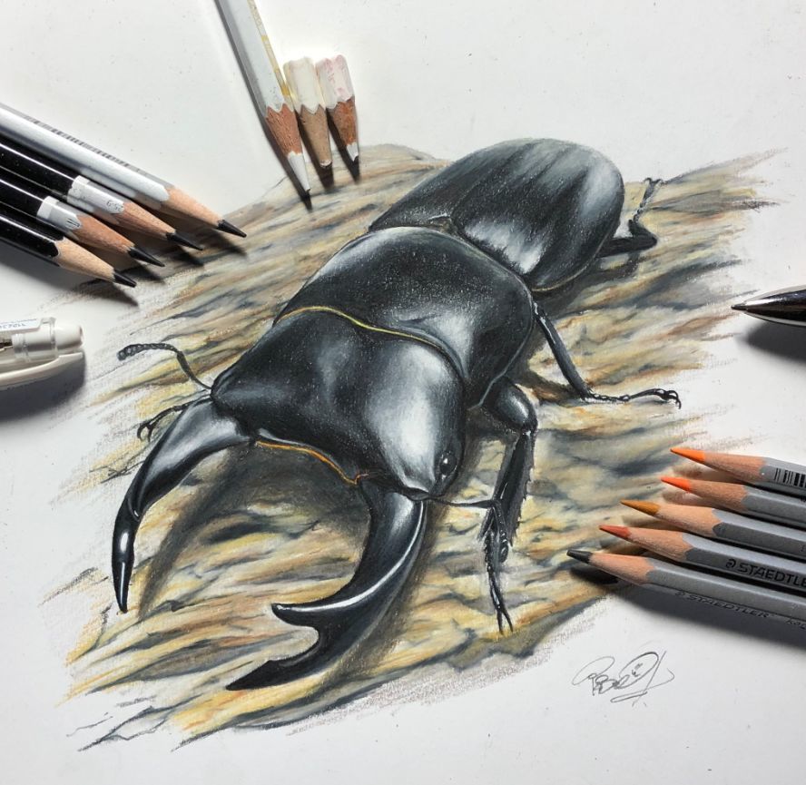 右眼失明,00后少年零基础铅笔画,每一幅都让人傻傻分