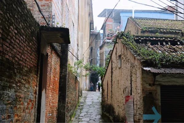 起凤里,塘仔边,桂香街,清远这三条源于清代的旧街小巷,尽是市井生活的