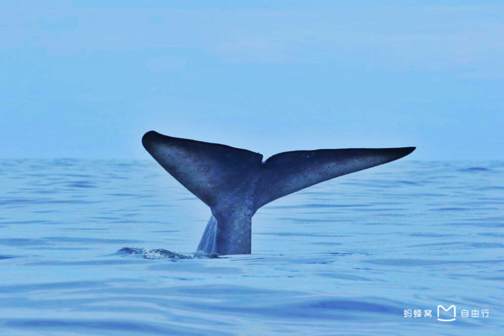 国外省钱又好玩的四个地方,超详细攻略,全部白