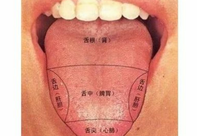 舌头上出现的白色东西到底是什么?对身体有什么影响?