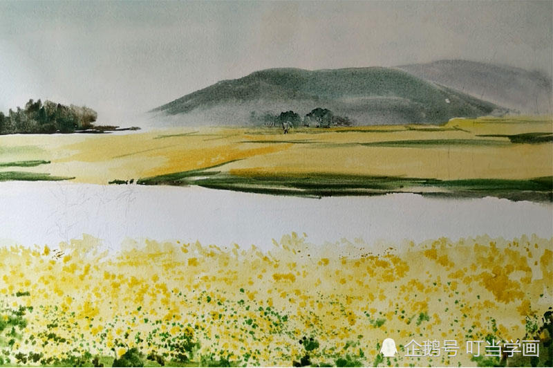 学画水彩:油菜花之恋