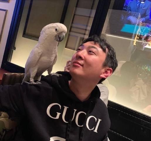 王思聪删博后不发一言换头像反击,头像内还暗藏骂人