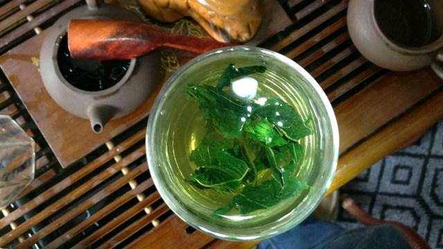冬天喝桑叶茶好吗 腾讯网