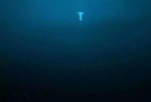 你有没有深海恐惧症?6张图测试一下,很多人败在了最后