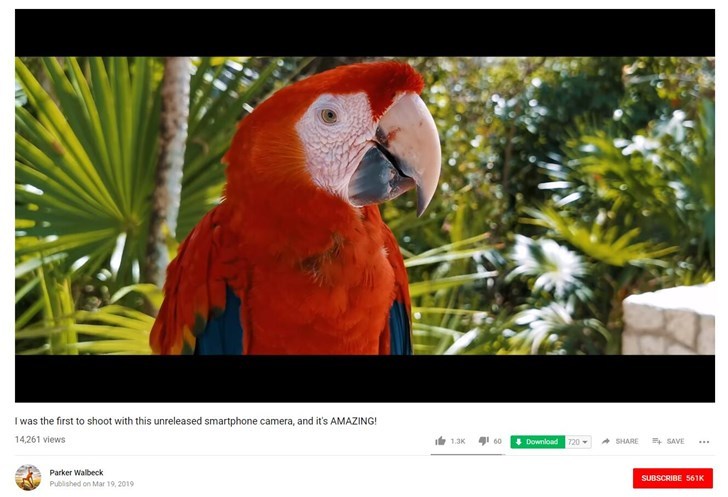 疑似华为P30 Pro所拍摄视频片段流出