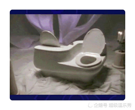 豪华"双人马桶"像极了爱情,网友:快叫你的小伙伴一起