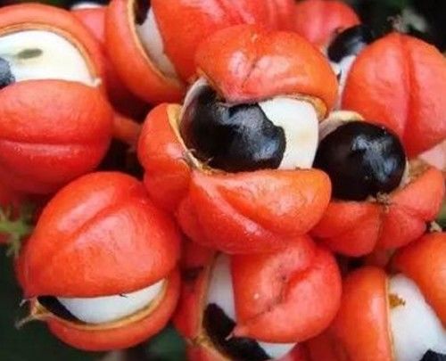640
