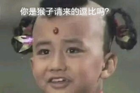 "你是猴子请来的逗比吗?