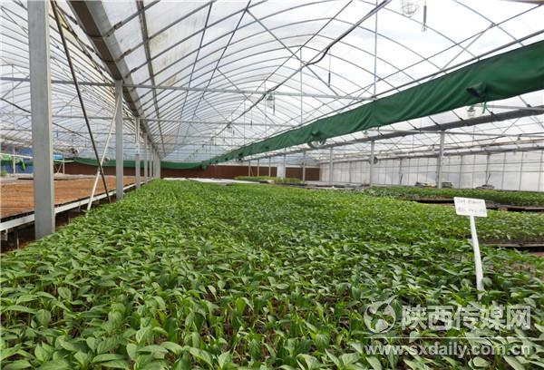 陕西信合五项措施助推民营企业高质量发展