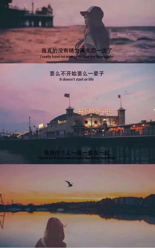 最近火了苦尽甘来背景图苦尽甘来可苦不会尽你也不会来