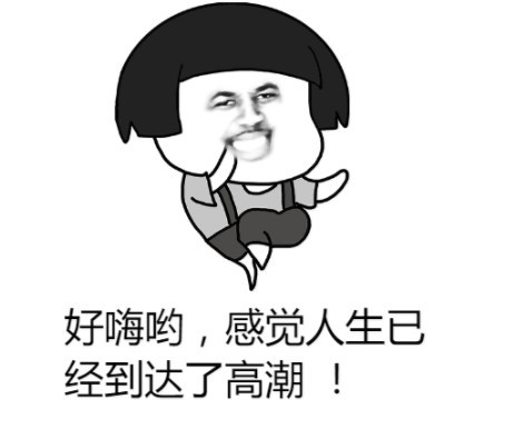 表情包:好嗨哟,感觉人生已经到达了高潮!
