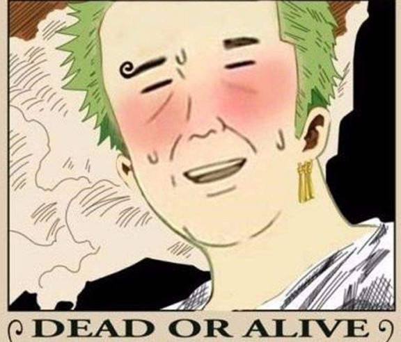 海贼王:那些让人懵逼的悬赏令画像,这画的什么鬼?真抓
