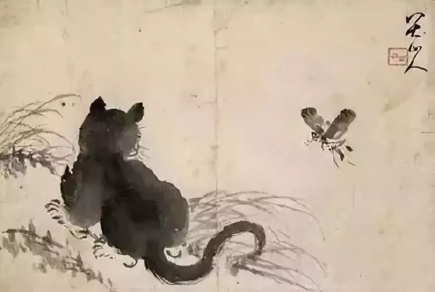 八大山人画的这些猫,你见过没?