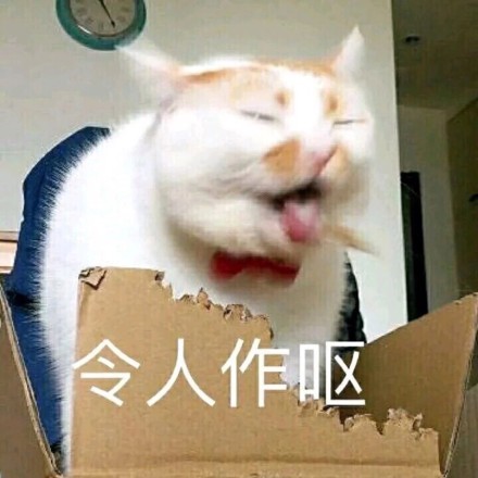 可爱至极的猫咪表情包:歇斯底里的你都如此可爱