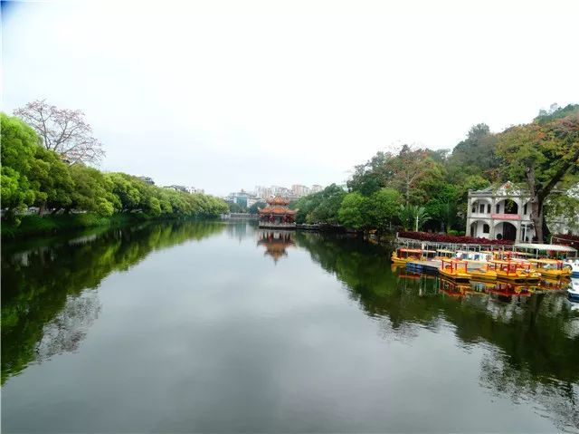 网友"树彬压褶 ",则从不同的视角,展示春光下潮州西湖优美的风景.