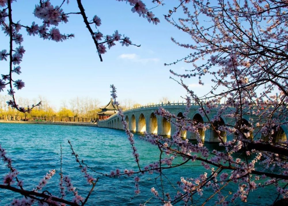 本周最美的是桃花!北京哪里赏桃花景色最佳?一树桃花