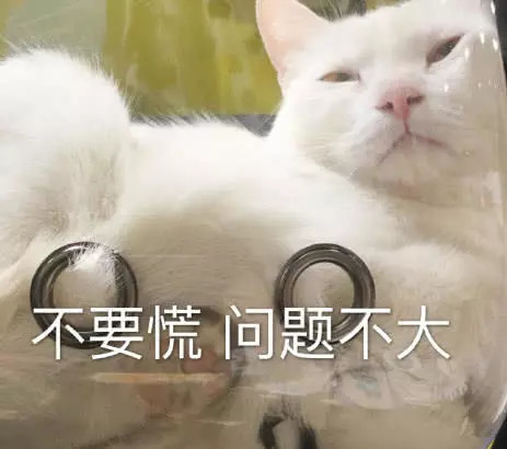 单身贵族专属表情包:像我这种年纪就应该吃喝嫖赌,不