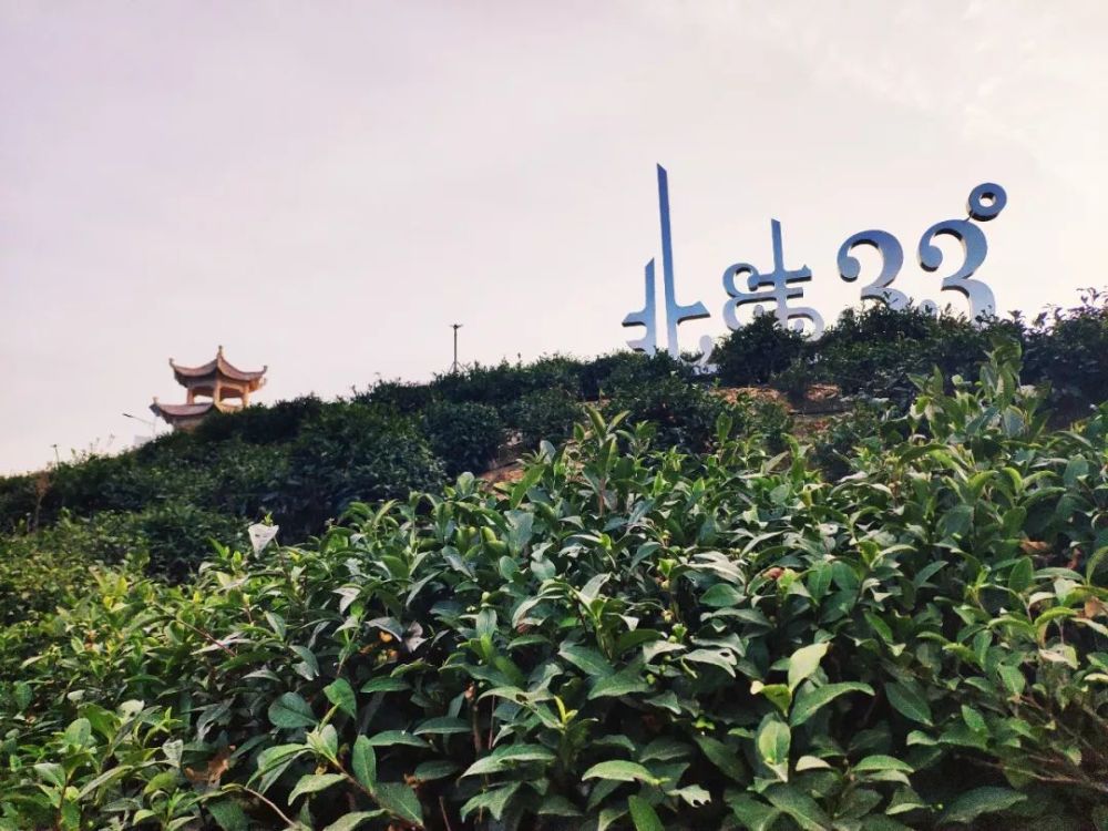 秦岭最美是商洛,无限风光在山阳,秦风楚韵看漫川