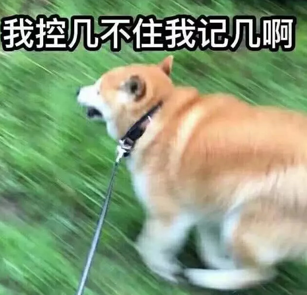 "沙雕情侣头像"最近火了!快去找自己的蠢萌对象一起用