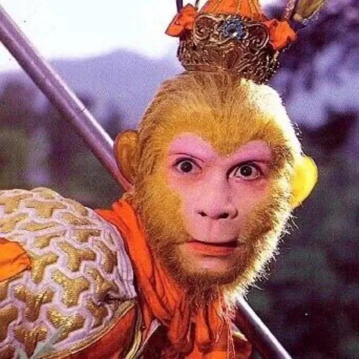 猴哥和八戒这一组cp,可以说是小时候的回忆了,小的时候假期的时候一直