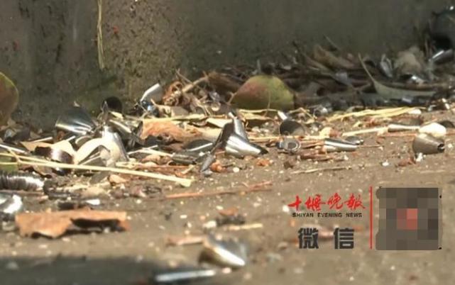 湖北30多辆车当场瘫痪！原因令人愤怒