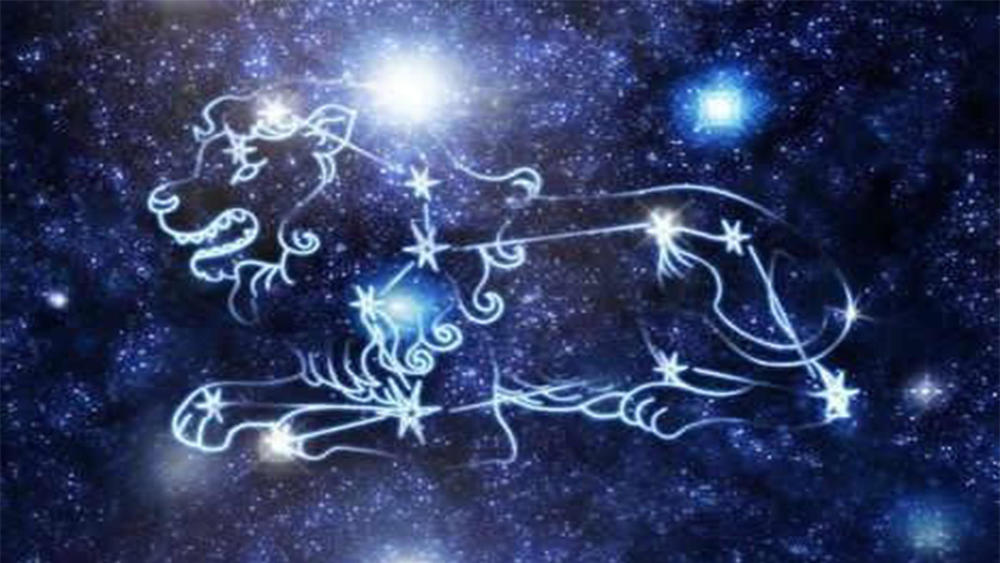 星座,巨蟹座,摩羯座,狮子座,12星座