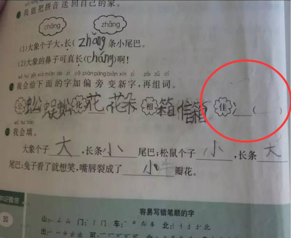 小学生作业:佳字加偏旁变什么字?网友:太