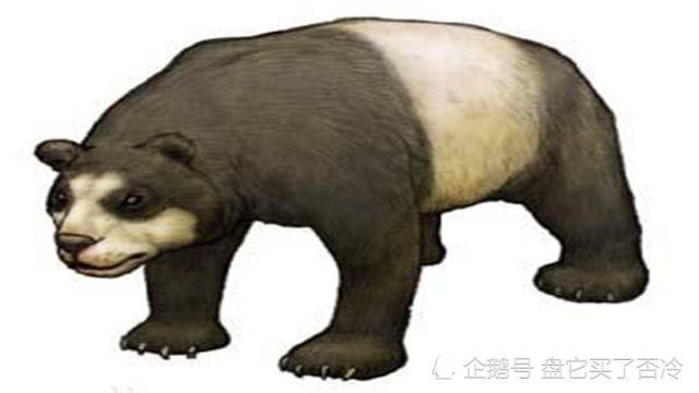 熊猫的祖先从哪里进化而来呢?食铁兽还是熊人族?我们
