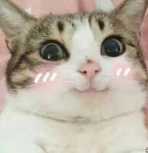 最全微信表情!让你和表情不再尬聊动态包微女生生日搞笑图片