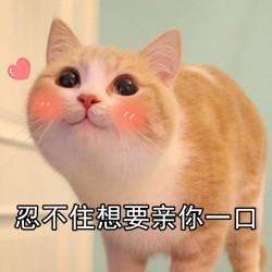 最全微信女生!让你和好友不再尬聊分享表情包表情qq图片