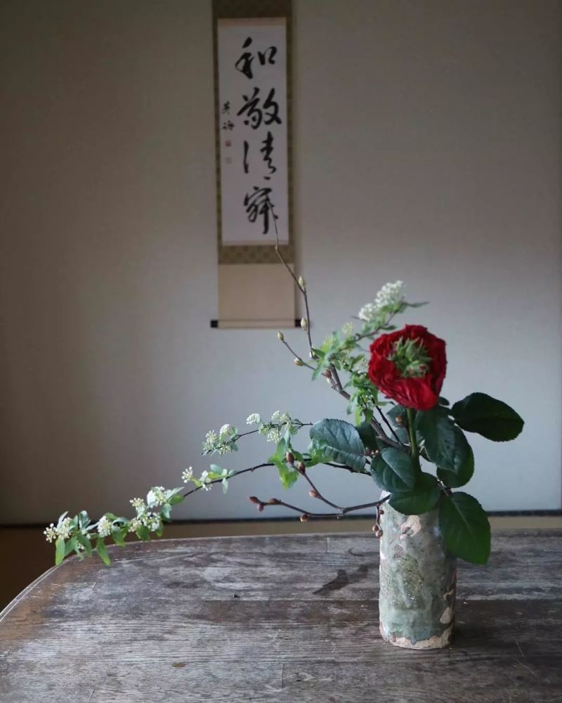 禅意插花感受东方艺术之美