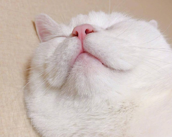 640