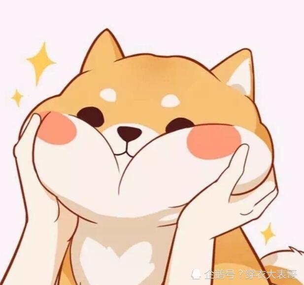 很让人喜欢的哦~ 最后这组情侣头像是两只超级胖的猫咪哦~ 看这个大脸