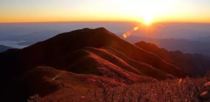 遂川多少人口_遂川中学图片