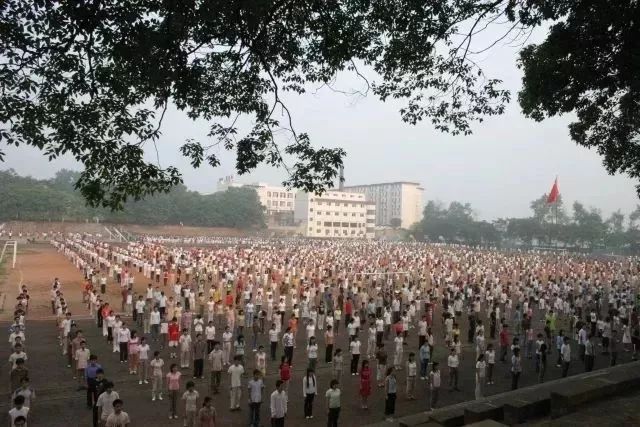 被遗忘十八年的株洲"中南林学院",终在19年开出梦想的