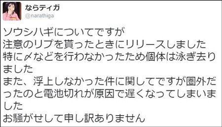 网友吃鱼前晒了张照片 没想到捡回一条命