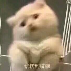 表情包:你怎么瘦的像条狗一样