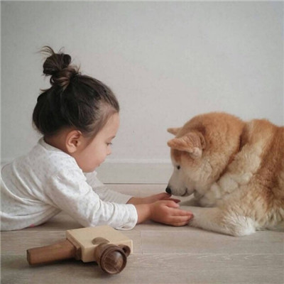 小女孩和柴犬可爱头像:我们一起长大吧