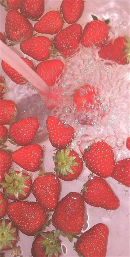 少女心了吧,女生们不仅喜欢吃草莓,看到这样粉红色的草莓壁纸也会无法
