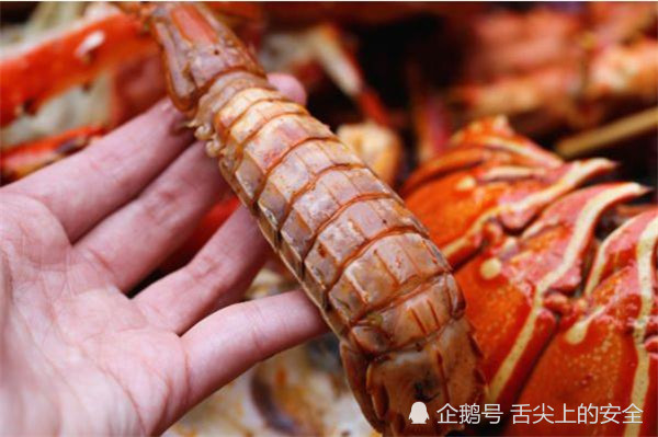 雀尾螳螂虾