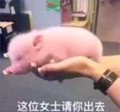 表情包:抓不住爱情的我,你根本不明白我内心对爱情的