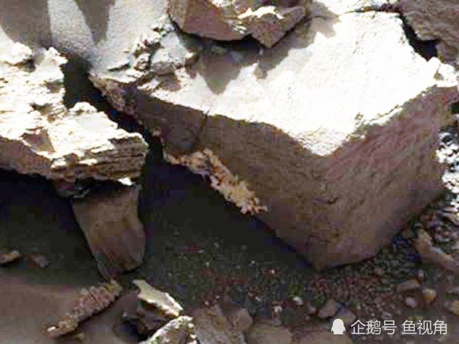 火星蘑菇?美国好奇号3天拍到15次蘑菇,引发