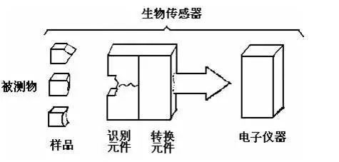 一文读懂生物医学领域的传感器非常详细