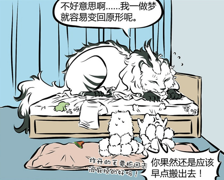 白泽,杨戬,非人哉,二郎神,哮天,精卫