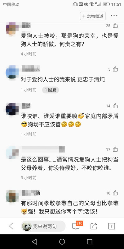 爱狗人士狗场做义工被咬,网友神评论:本是同根生,相煎何太急