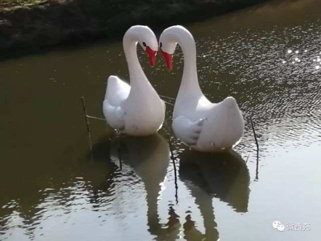 640